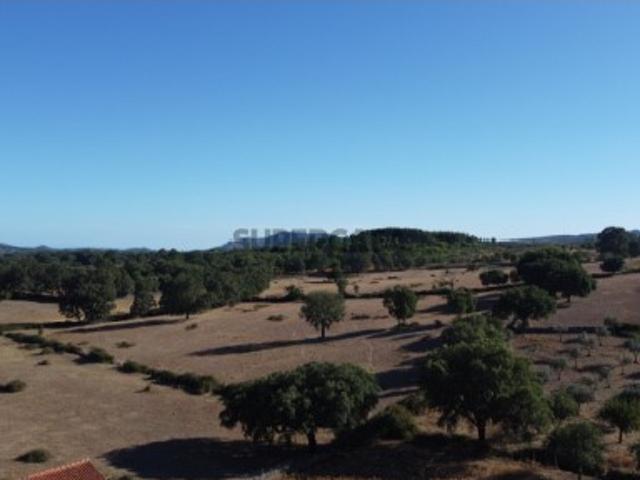Quintas e casas rústicas T0 em São Salvador da Aramenha
