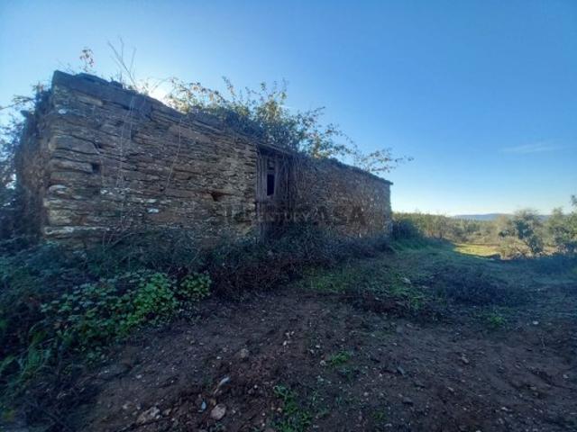 Quintas e casas rústicas T0 em Sarnadas de Rodão