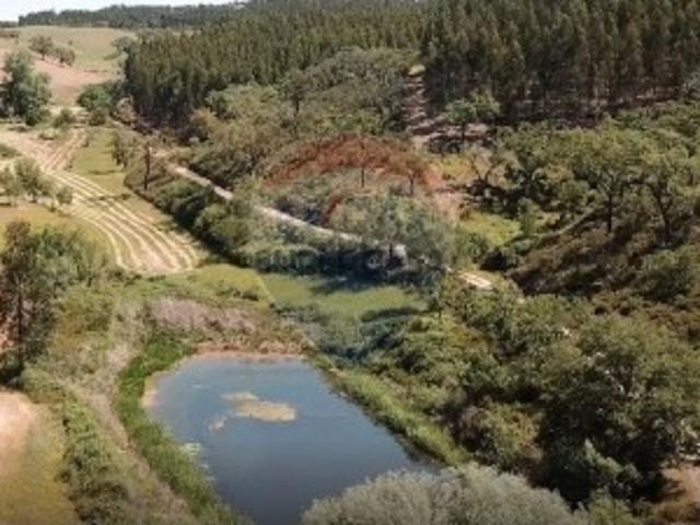 Quintas e casas rústicas T0 em Relíquias