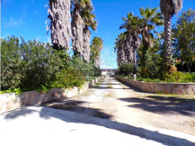Quintas e casas rústicas T0 em Vidigueira
