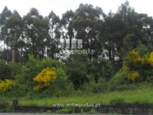 Quintas e casas rústicas T1 em Campos e Vila Meã