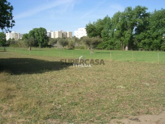 Quintas e casas rústicas T1 em Assunção, Ajuda, Salvador e Santo Ildefonso