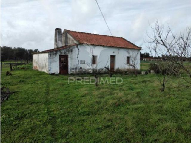 Quintas e casas rústicas T1 em São Domingos e Vale de Água