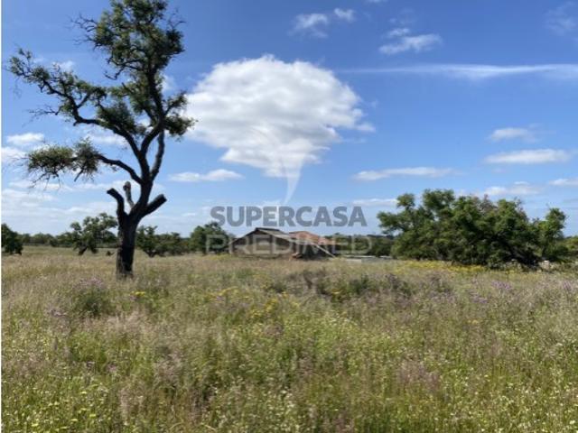 Quintas e casas rústicas T1 em Abela