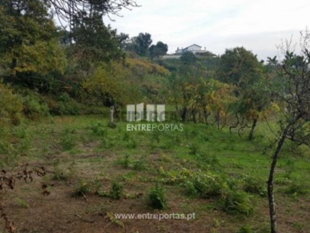 Quintas e casas rústicas T1 em Penha Longa