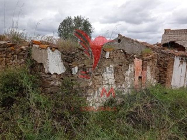 Quintas e casas rústicas T2 em Montargil