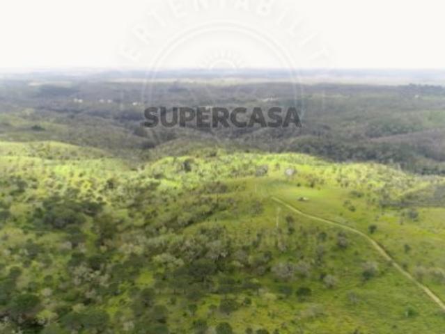 Quintas e casas rústicas T2 em São Francisco da Serra