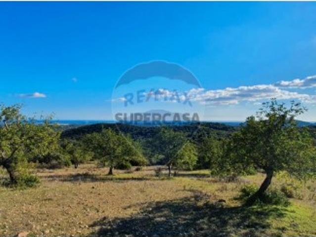 Quintas e casas rústicas T2 em Santa Catarina Da Fonte Do Bispo