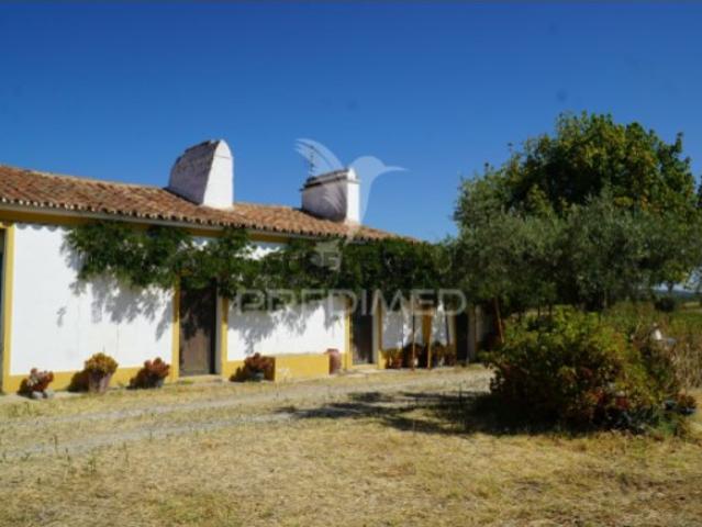 Quintas e casas rústicas T2 em Redondo
