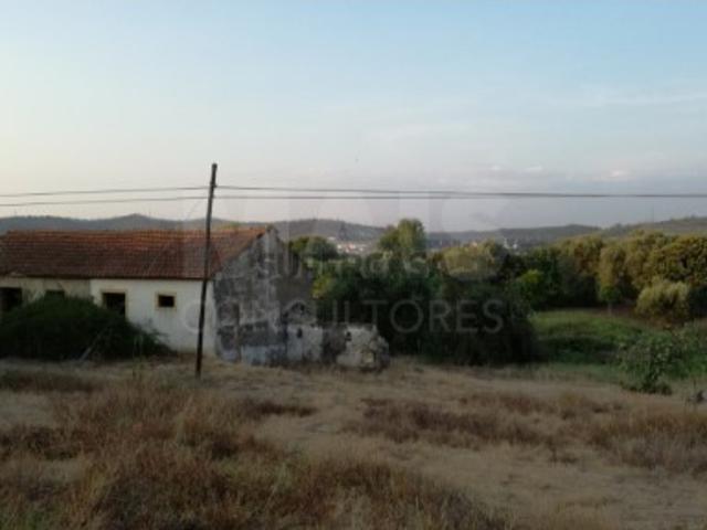 Quintas e casas rústicas T2 em Tramagal