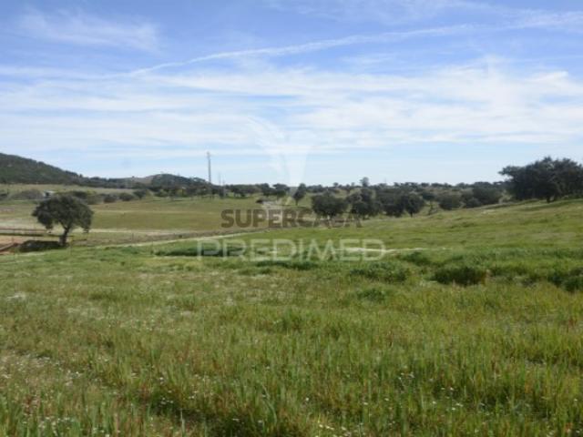 Quintas e casas rústicas T2 em Urra