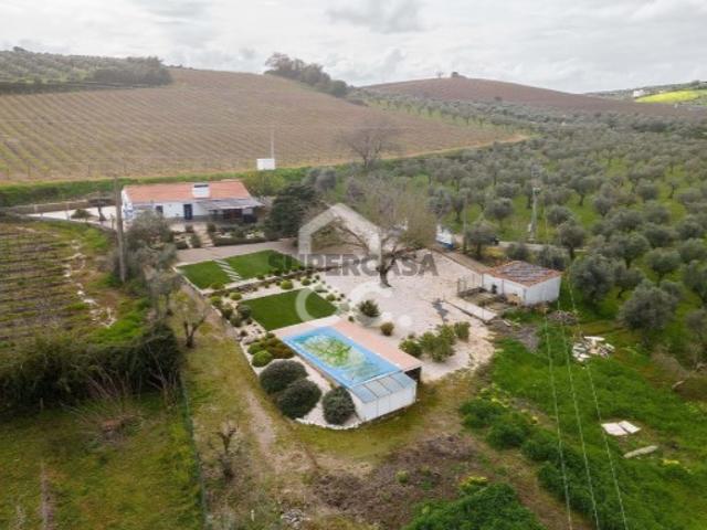 Quintas e casas rústicas T3 em Borba Matriz