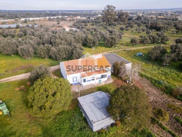 Quintas e casas rústicas T3 em Bacelo e Senhora da Saúde