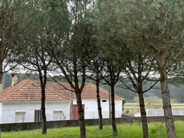 Quintas e casas rústicas T3 em Oiã