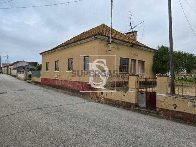 Quintas e casas rústicas T3 em Riachos