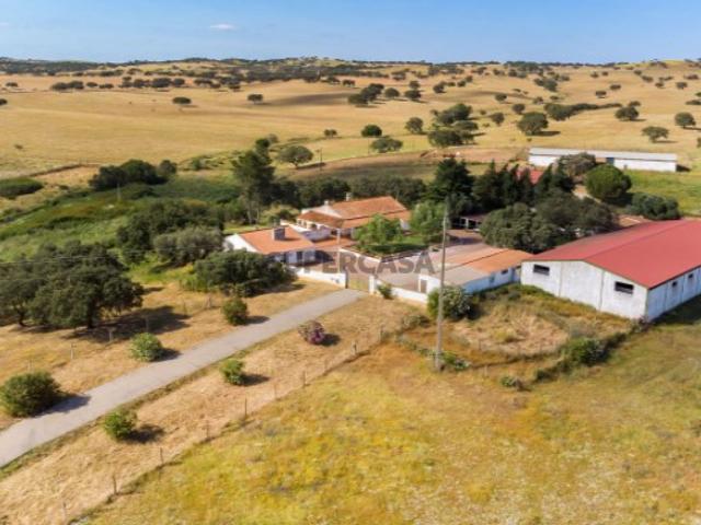 Quintas e casas rústicas T4 em Bacelo e Senhora da Saúde