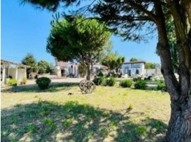 Quintas e casas rústicas T4 em São Miguel do Souto e Mosteirô