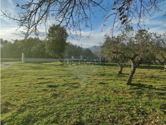 Quintas e casas rústicas T5 em Teixoso e Sarzedo