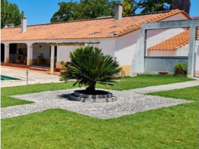 Quintas e casas rústicas T6 em Avis