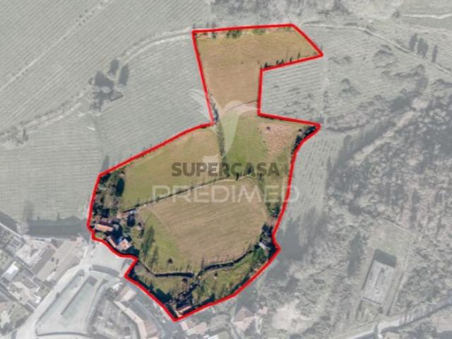 Quintas e casas rústicas T6 em Ferreiros, Prozelo e Besteiros