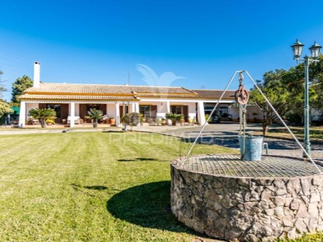 Quintas e casas rústicas T7 em Palmela