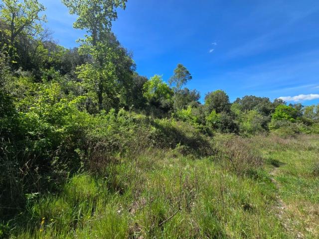 Quintillan Vente Terrain 11