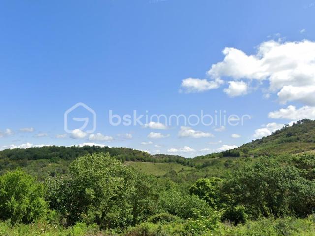 Quintillan Vente Terrain 11