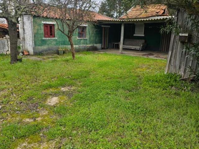 Quintinha 1350m2 Almeirim Fazendas de Almeirim | 26064086745