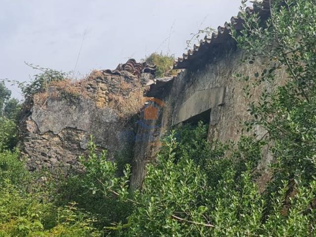 Quintinha 1 hectare | Maxial, Torres Vedras