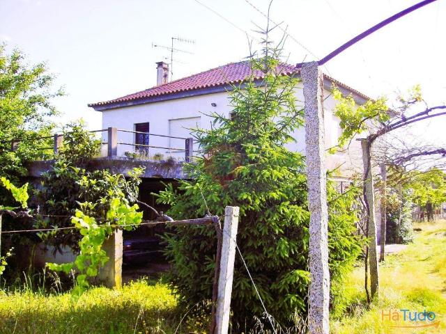 Quintinha | 26083949211