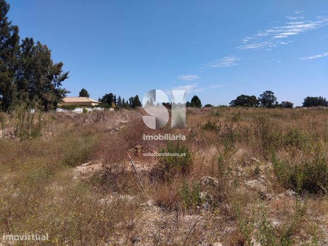 Quintinha