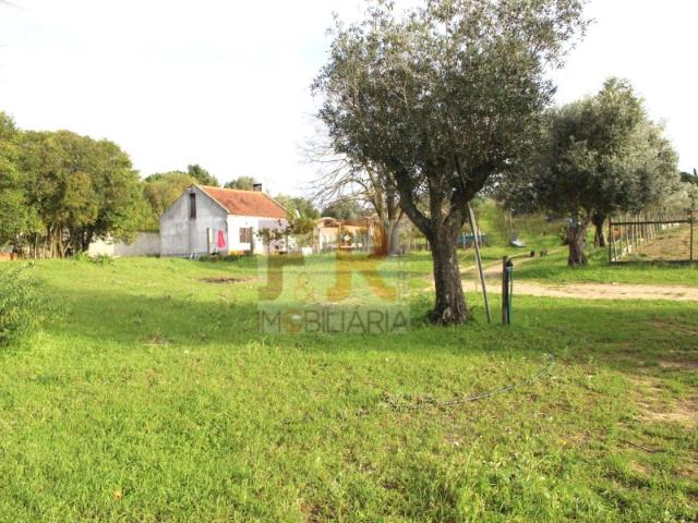 Quintinha com Moradia Térrea T2, Aldeia da Piiedade, Azeitão Setúbal