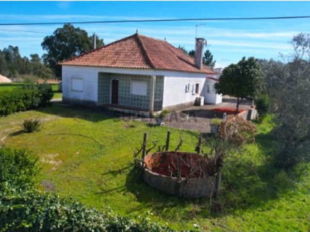 Quintinha com casa T3 e anexo habitável, terreno e poço