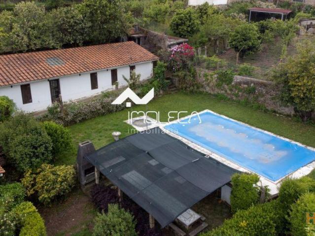 Quintinha com piscina em Palmeira de Faro, Esposende | 26064089818