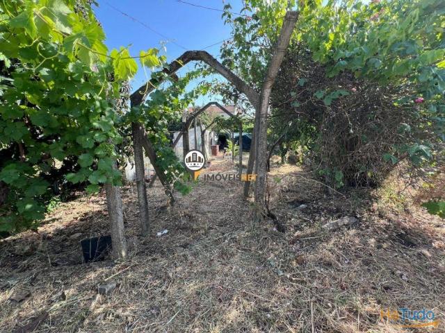 Quintinha com 1985m2 com dois poços, Venda, Castelo Branco | 26083997271