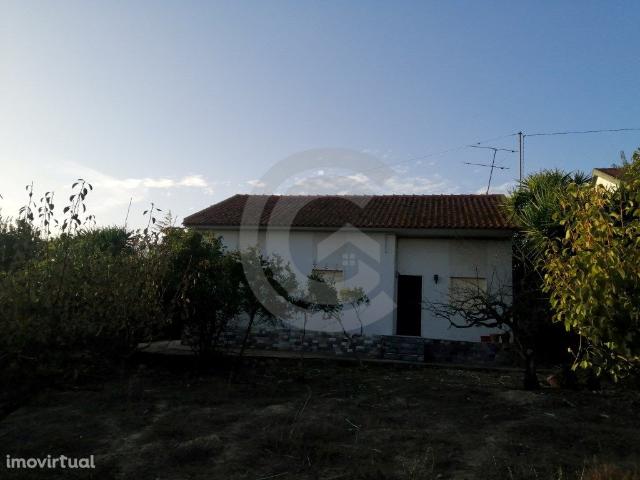 Quintinha com moradia T3 e 24980 m2 de Terreno em Alcanena