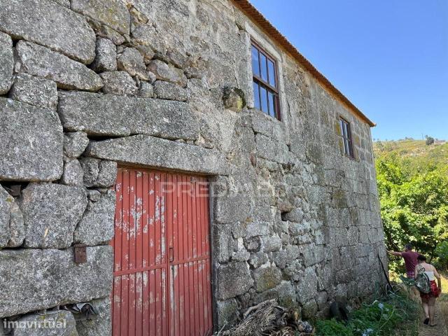 QUINTINHA COM 2 CASAS DOURO