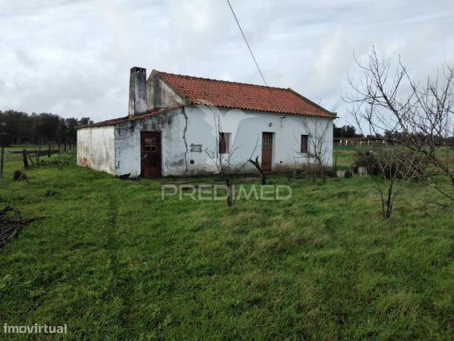 Quintinha com 4816m2 com Moradia para recuperar em So Domingos