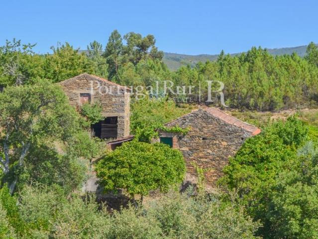 Quintinha com 4 hectares e 2 construções em aldeia da Beira. 117m² Proença a Nova e Peral