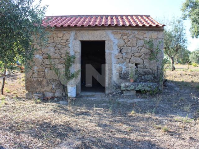 Quintinha com 5350m2 para venda na Lousa, Castelo Branco