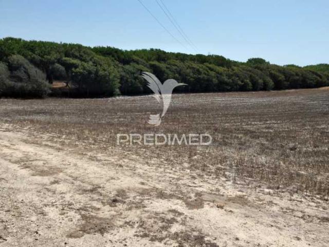 Quintinha com 7200 m2,Porto Côvo