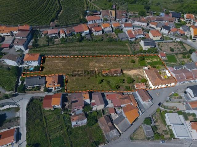 Quintinha Alto Douro Vinhateiro com Moradia Brasonada