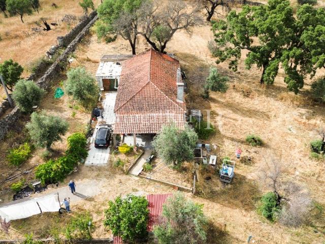 Quintinha de 1.8 hectares em Medelim 150m² Medelim