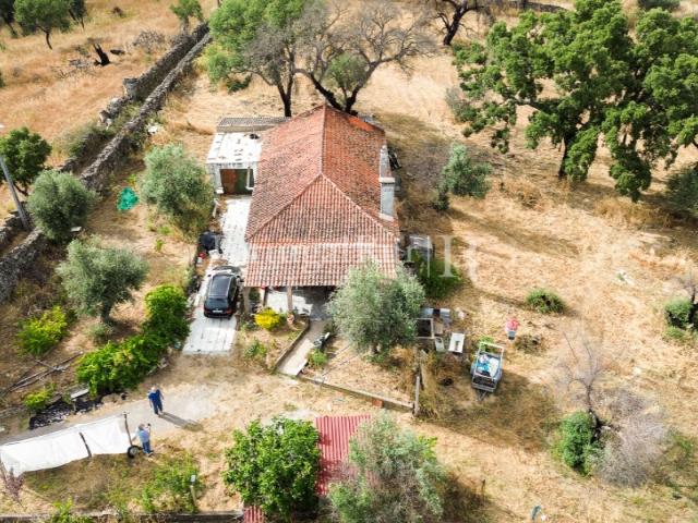 Quintinha de 1.8 hectares em Medelim