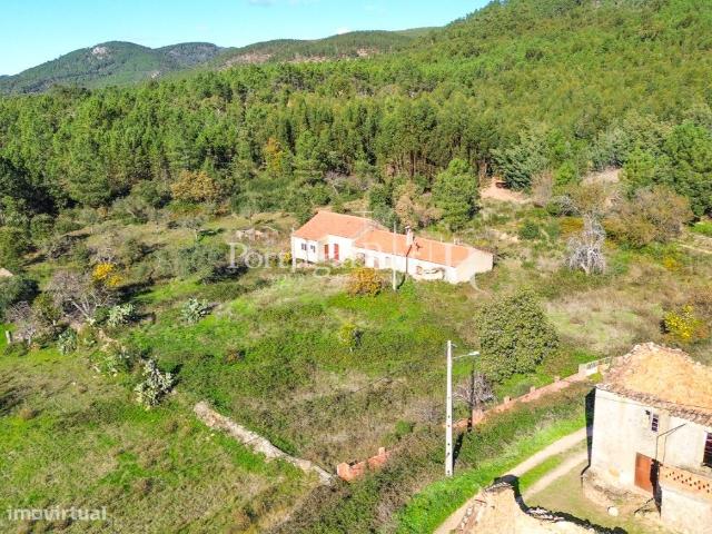 Quintinha de 20 hectares