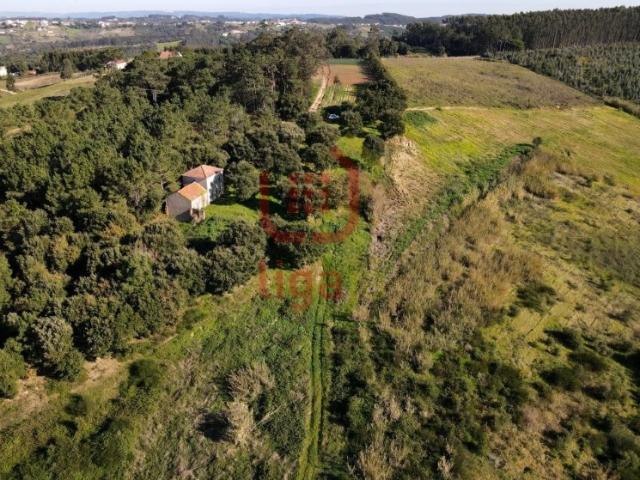 Quintinha de 5Ha com Ruína, Óbidos!