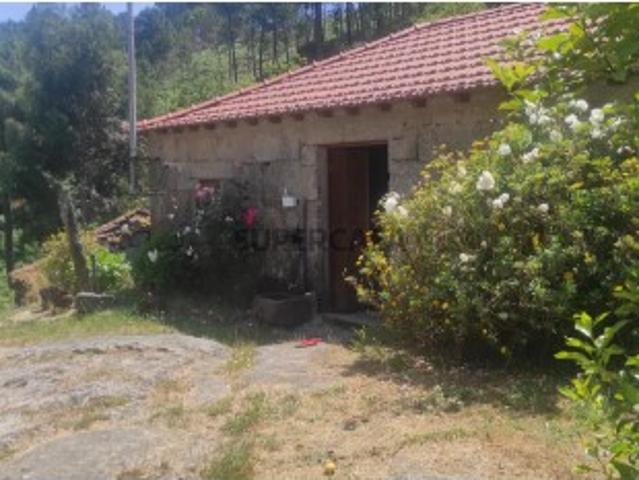 Quintinha em Cinfães do Douro