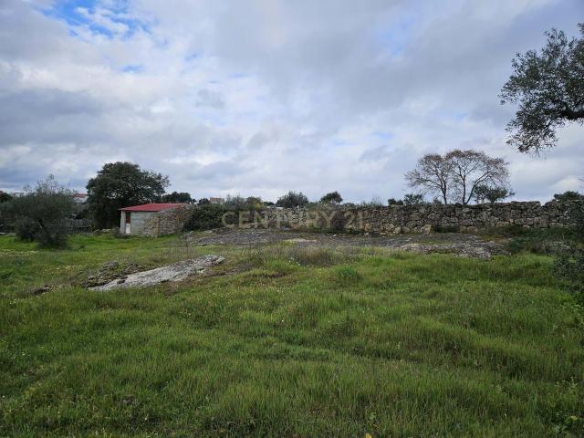 Quintinha na Lousa, Castelo Branco