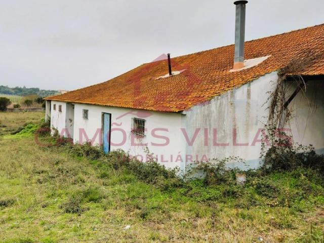 Quintinha na Lamarosa