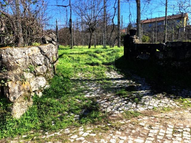 Quintinha Silvares Guimarães